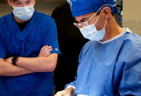 Veterinary Surgery