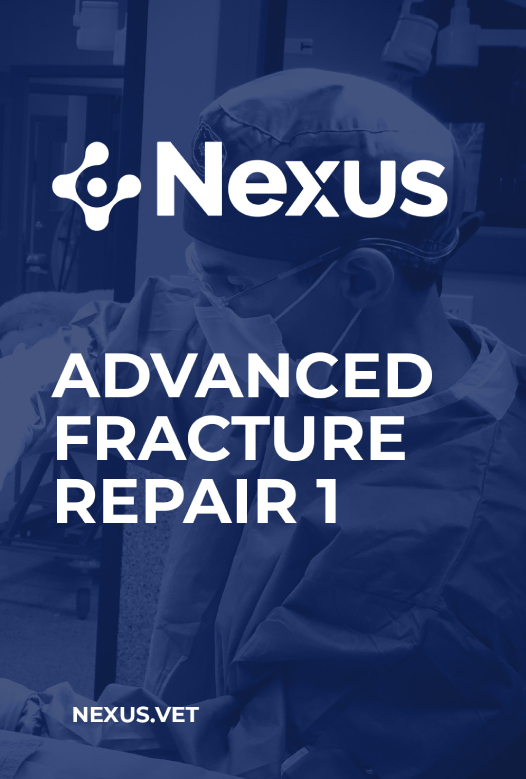 Advanced Fracture Repair 1