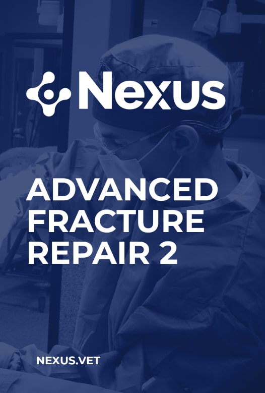 Advanced Fracture Repair 2